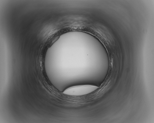 X0000111521396200907141227