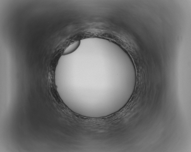 X0000111521397200907141227