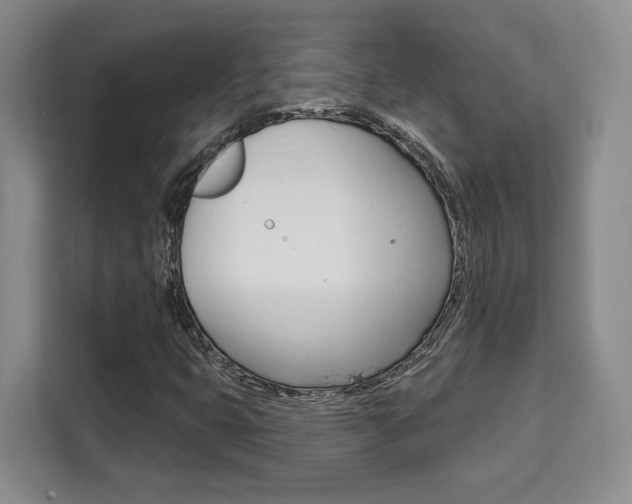 X0000111521399200907141227