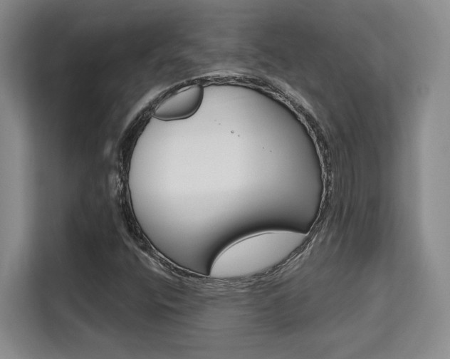X0000111521400200907141227