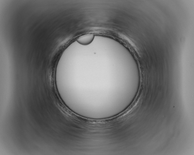 X0000111521403200907141227