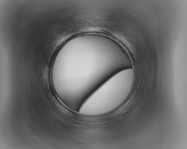 X0000111521404200907141227