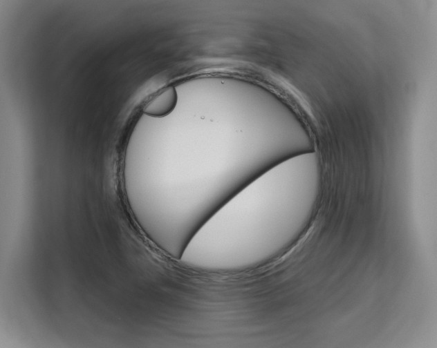 X0000111521411200907141227