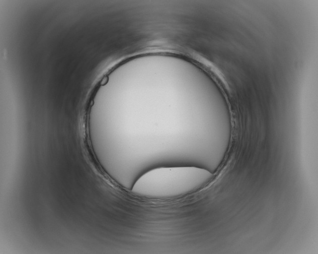 X0000111521415200907141227
