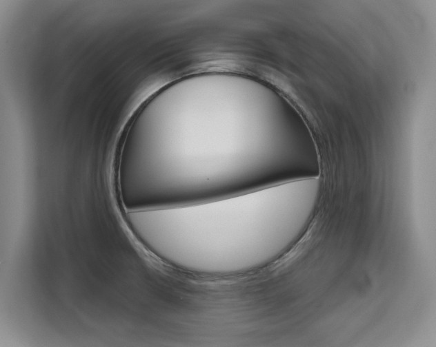 X0000111521426200907141227