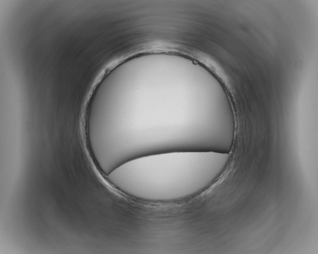 X0000111521429200907141227