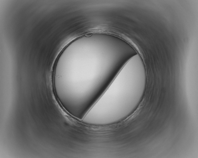 X0000111521434200907141227