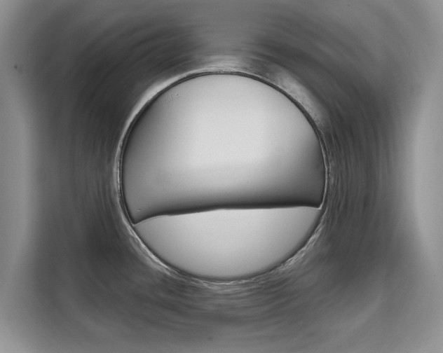X0000111521436200907141227