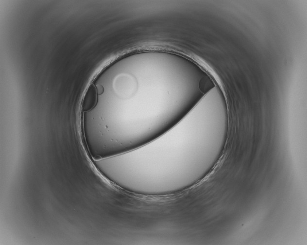 X0000111521437200907141227