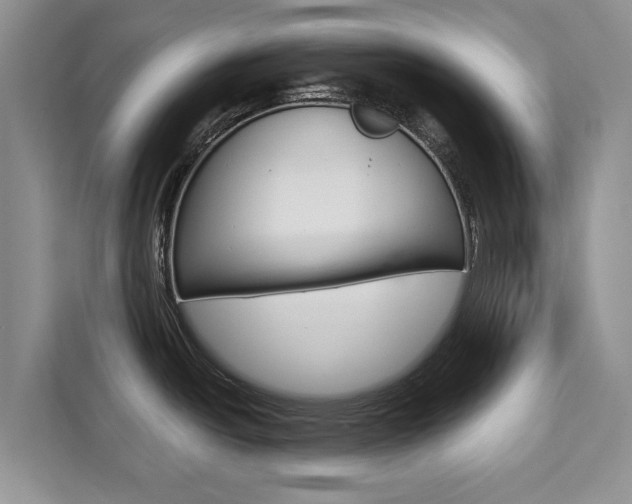 X0000111521438200907141227