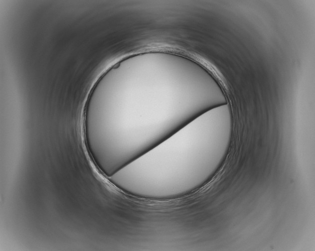 X0000111521439200907141227