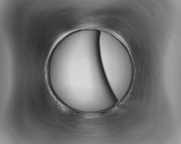 X0000111521440200907141227