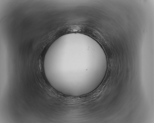X0000111521442200907141227