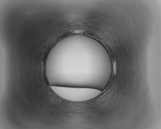 X0000111521443200907141227