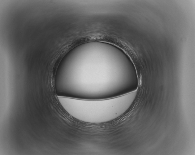 X0000111521444200907141227