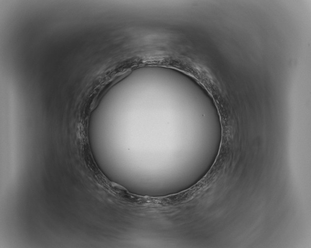 X0000111521445200907141227
