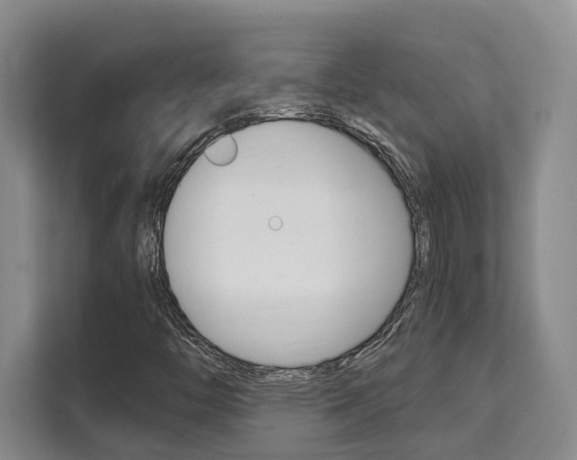 X0000111521446200907141227