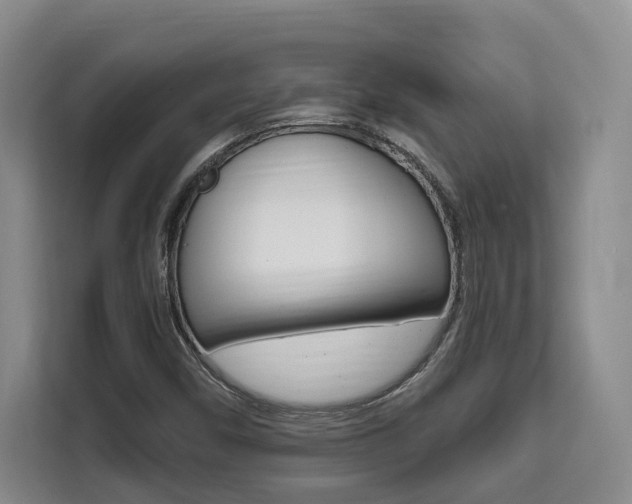 X0000111521450200907141227