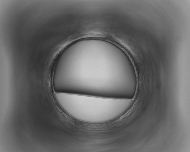 X0000111521455200907141226