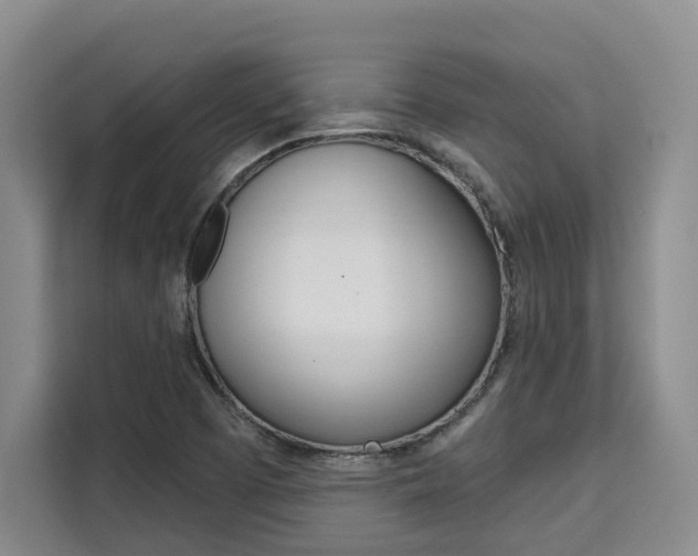X0000111521457200907141226