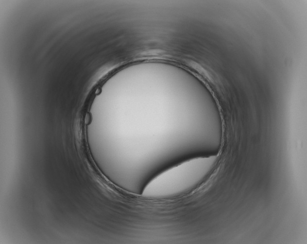 X0000111521458200907141226
