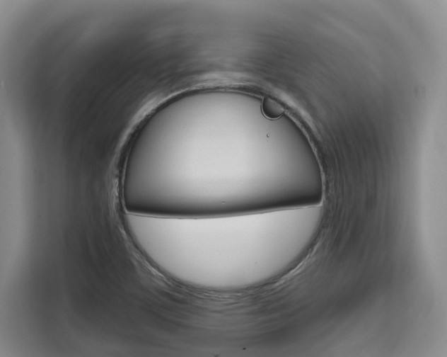 X0000111521459200907141226