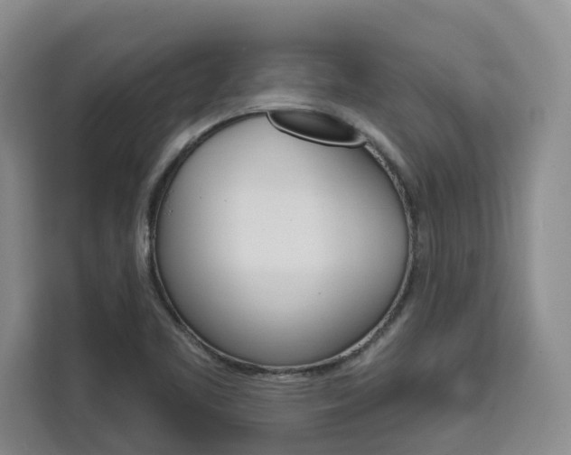 X0000111521461200907141226