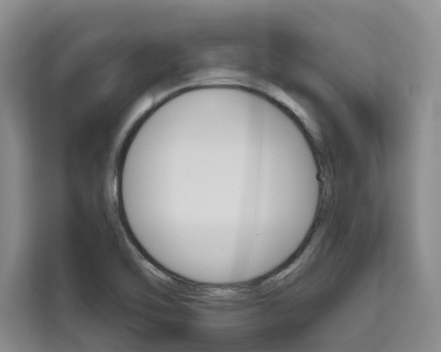 X0000111521462200907141226