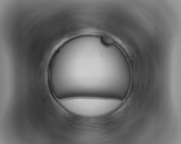 X0000111521463200907141226