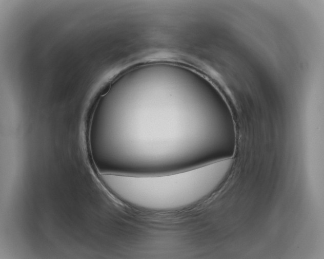 X0000111521464200907141226