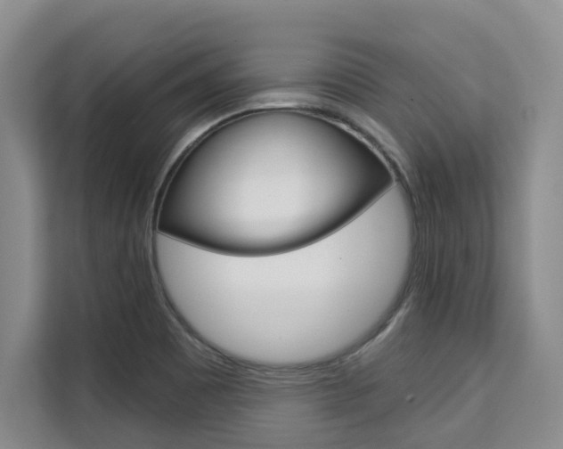 X0000111521465200907141226