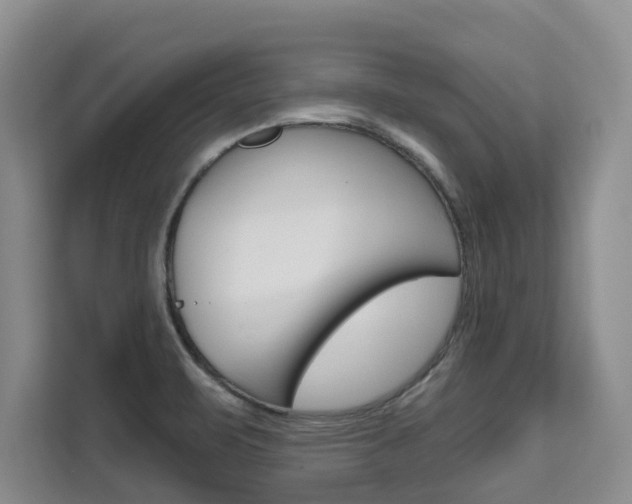 X0000111521471200907141226