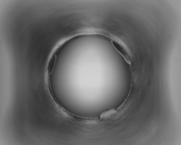 X0000111521472200907141226