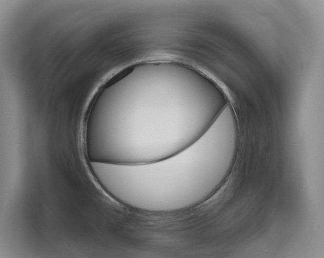 X0000111521477200907141226