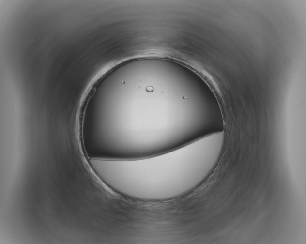 X0000111521480200907141226