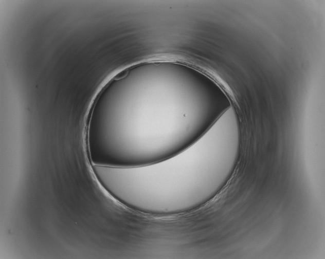 X0000111521484200907141226