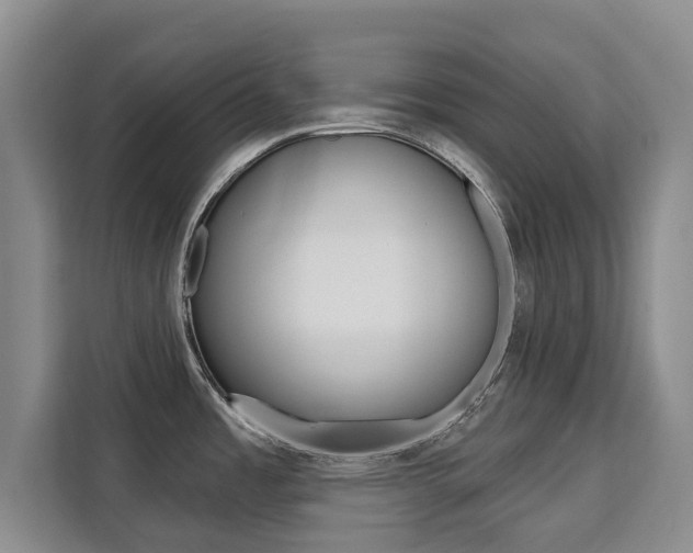 X0000111521485200907141226