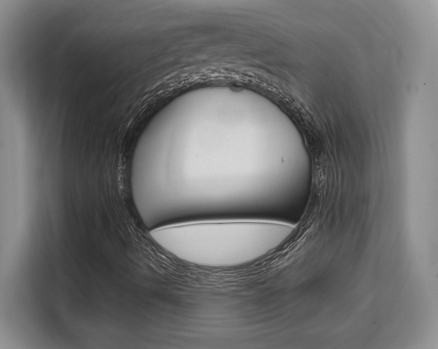X0000111521490200907141225