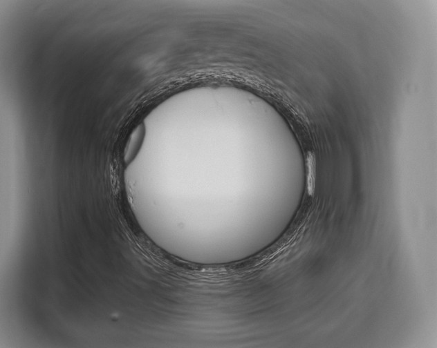 X0000111521491200907141225