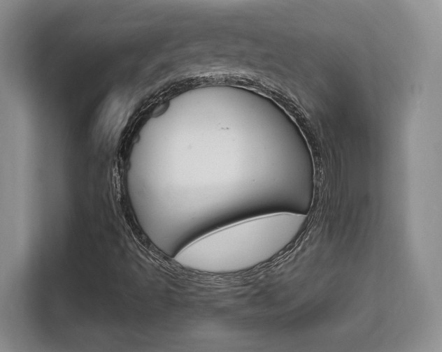 X0000111521493200907141226