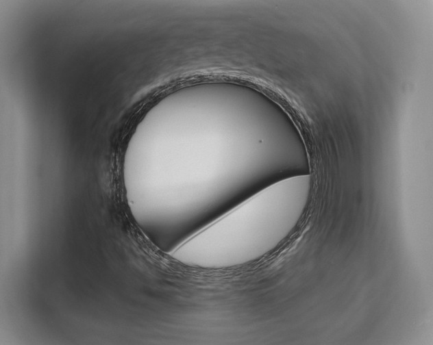 X0000111521494200907141226