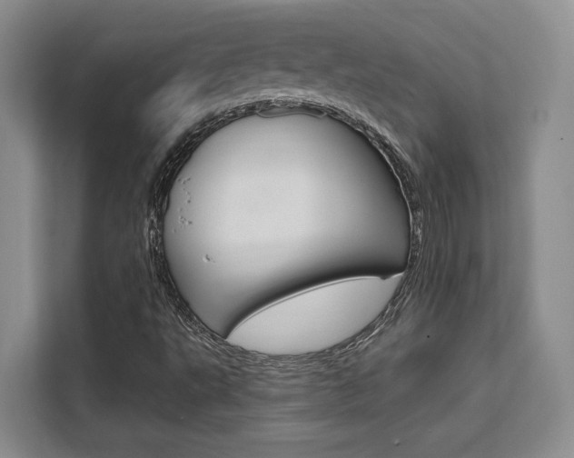X0000111521495200907141226