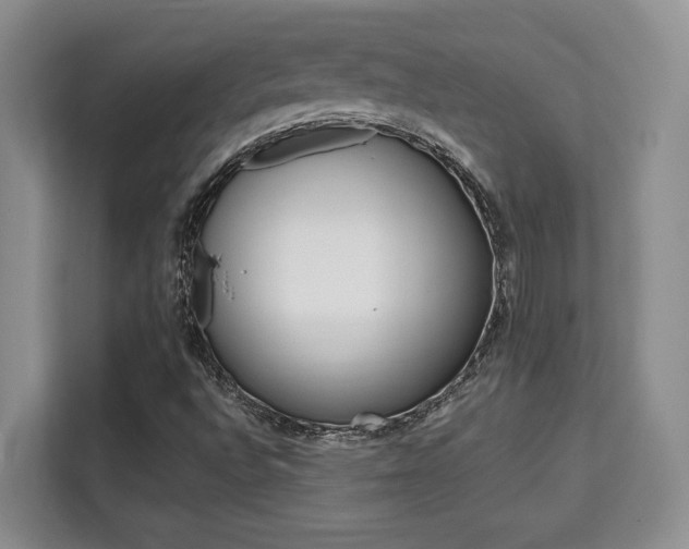 X0000111521496200907141226