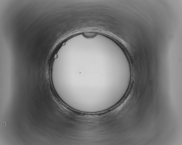 X0000111521498200907141226