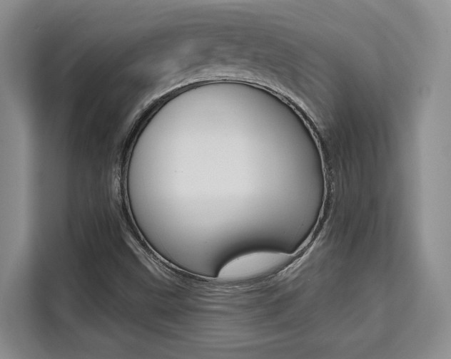 X0000111521499200907141226