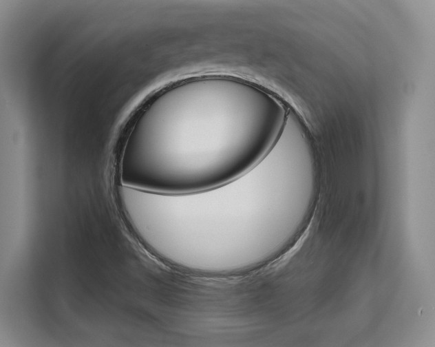 X0000111521502200907141226