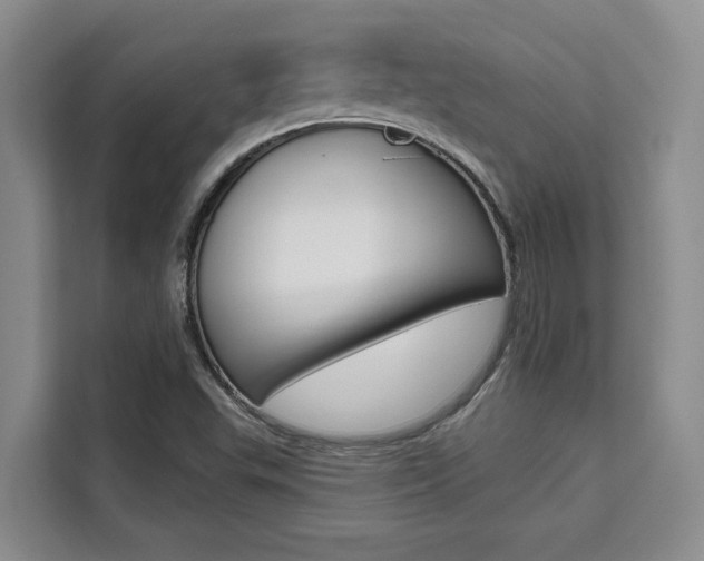 X0000111521503200907141226