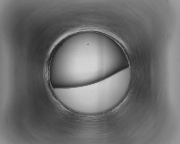 X0000111521510200907141226