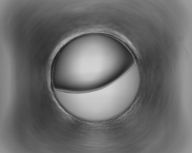 X0000111521512200907141226