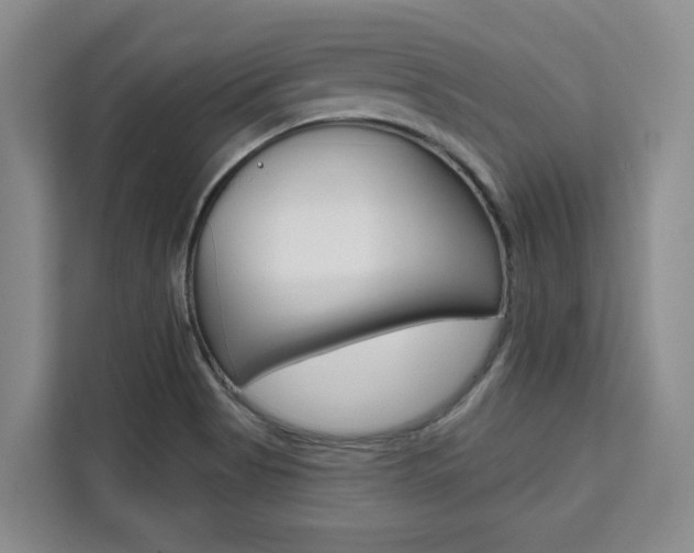 X0000111521513200907141226